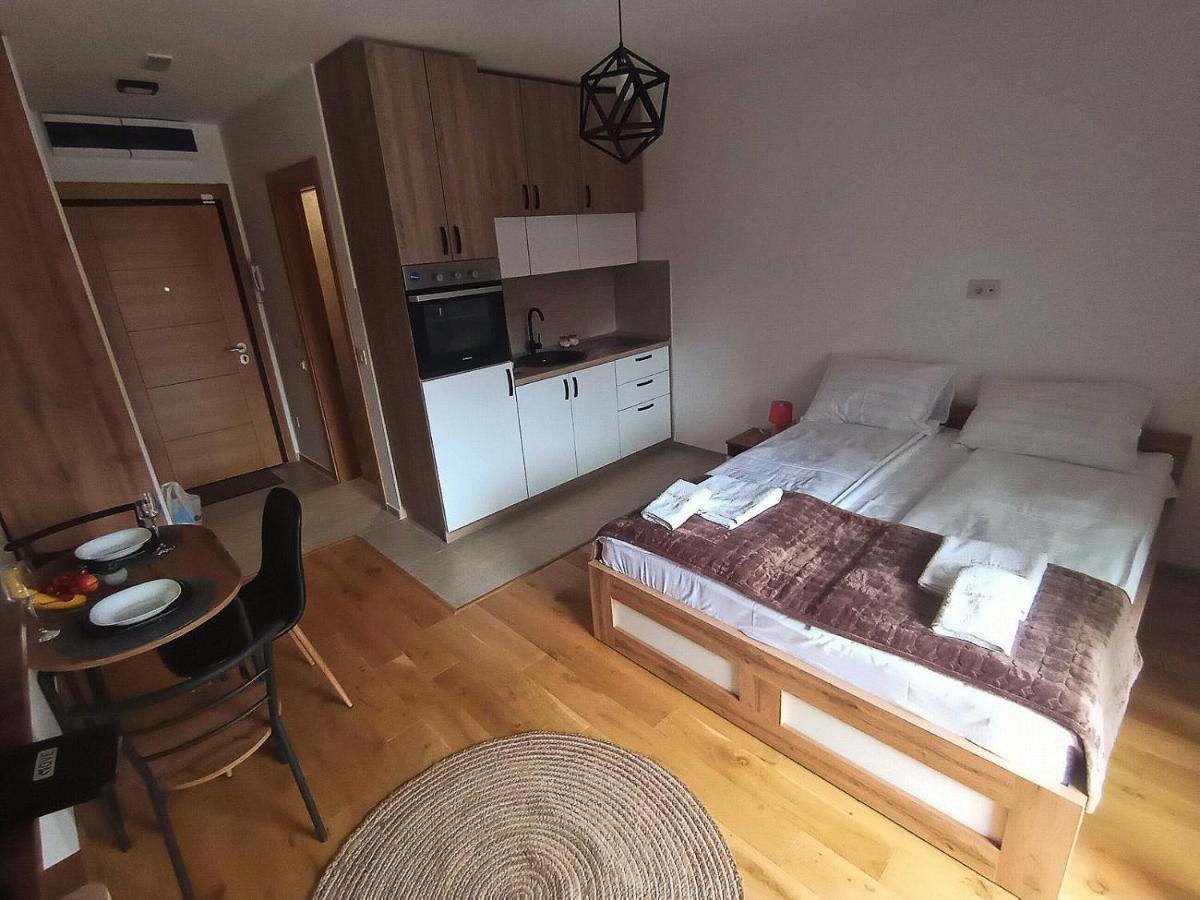 Studio Apartman Gorski Kristal ズラティボール エクステリア 写真