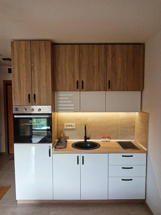 Studio Apartman Gorski Kristal ズラティボール エクステリア 写真